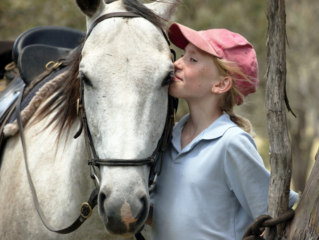 Equine Therapy For Kids & Teens